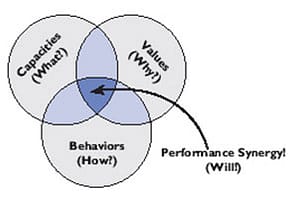 Performance Synergy